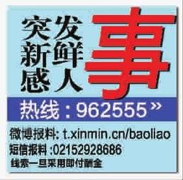 新鲜事视频怎么爆料,如何捕捉社会热点，助力舆论监督
